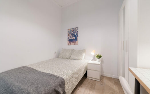 Habitación 3 en Cuenca 47-4